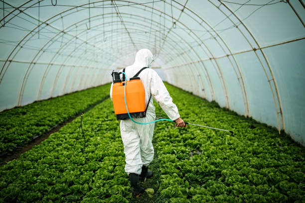 Best Ant Control Services  in Columbia Falls, MT