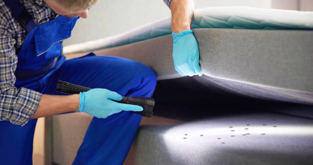 Reliable Columbia Falls, MT Pest Control Solutions