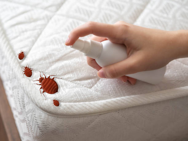  Columbia Falls, MT Pest Control Pros